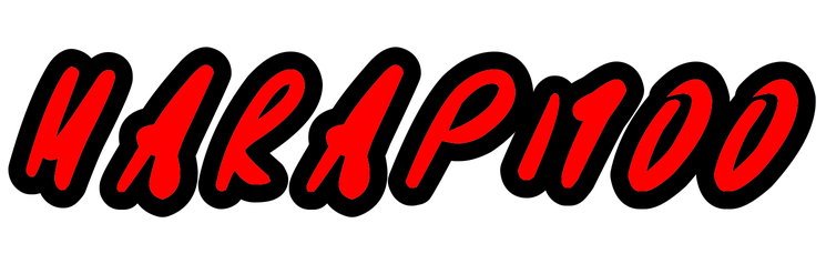 MARAPI100 Logo